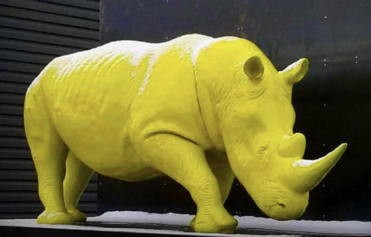 luxuswerbung-white-label-nashorn-skulptur-individuelle-figuren-kaufen-xxl-lebensgross - Luxuswerbung.de